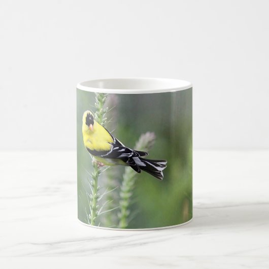 Amerikanischer Goldfinch Kaffeetasse (Mittel)