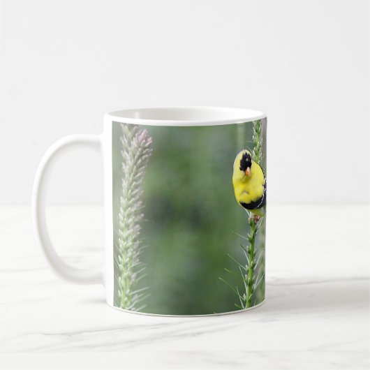 Amerikanischer Goldfinch Kaffeetasse (Links)