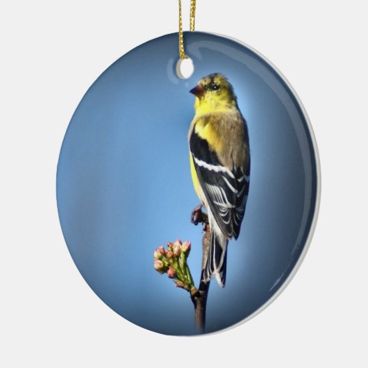 Amerikanischer Goldfinch Keramik Ornament (Links)