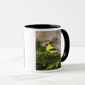Amerikanischer Goldfinch-Mann im Baum Tasse (VorderseiteRechts)