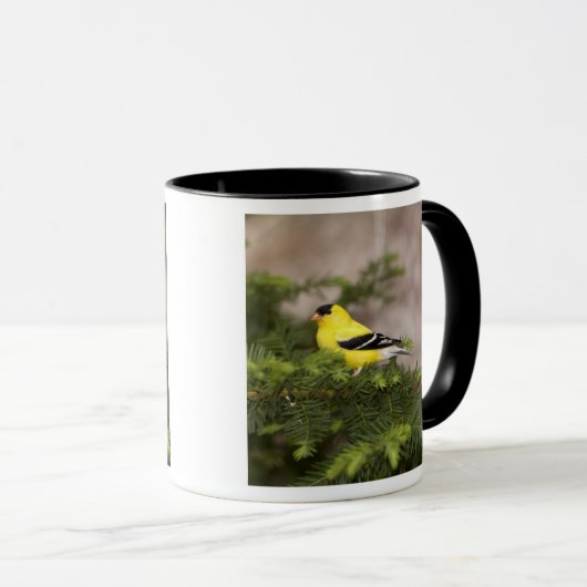 Amerikanischer Goldfinch-Mann im Baum Tasse (VorderseiteRechts)