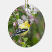 Amerikanischer Goldfinch mit Frühlingsapfelblüten Keramik Ornament (Links)