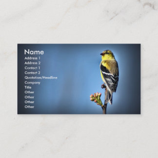 Amerikanischer Goldfinch Visitenkarte
