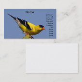 Amerikanischer Goldfinch Visitenkarte (Vorne/Hinten)
