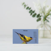 Amerikanischer Goldfinch Visitenkarte (Stehend Vorderseite)