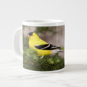 Amerikanischer Goldfink männlich in einem Baum Jumbo-Tasse