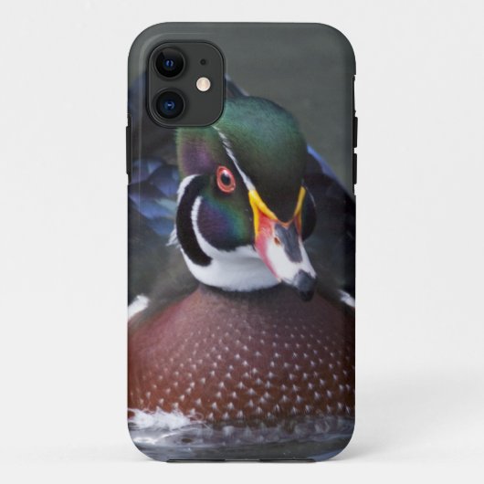 Amerikanischer hölzerne Ente iPhone 5 Case-Mate iPhone Hülle (Rückseite)