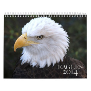 Amerikanischer Kalender des Weißkopfseeadler-2014