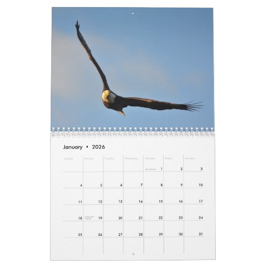 Amerikanischer Kalender des Weißkopfseeadler-2014 (Jan 2026)