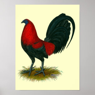 Amerikanischer Kämpfer: Brauner Roter Poster
