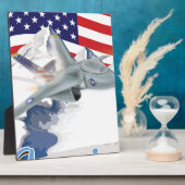 Amerikanischer Kampfflugzeug Fotoplatte (Seite)