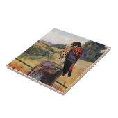 Amerikanischer Kestrel auf einem Stacheldraht-Zaun Fliese (Seite)