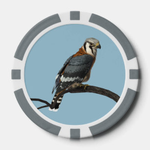 Amerikanischer Kestrel-Lehm-Poker-Chip Pokerchips