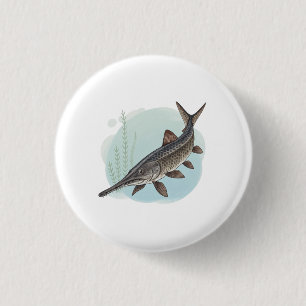 Amerikanischer Löffelstör Button