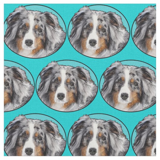 Amerikanischer Miniaturschäfer Stoff (Nahaufnahme)