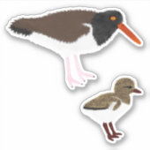 Amerikanischer Oystercatcher mit Küken Aufkleber (Vorderseite)