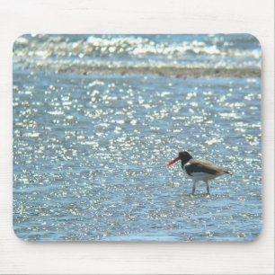 Amerikanischer Oystercatcher Mousepad
