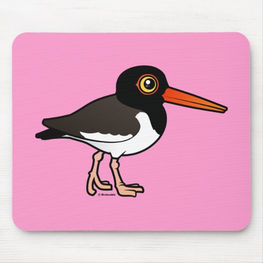 Amerikanischer Oystercatcher Mousepad (Vorne)