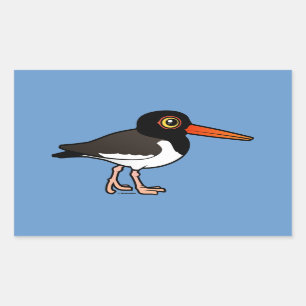 Amerikanischer Oystercatcher Rechteckiger Aufkleber
