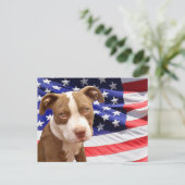Amerikanischer Pitbuler Welpe Postkarte (Stehend Vorderseite)