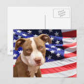 Amerikanischer Pitbuler Welpe Postkarte (Vorne/Hinten)