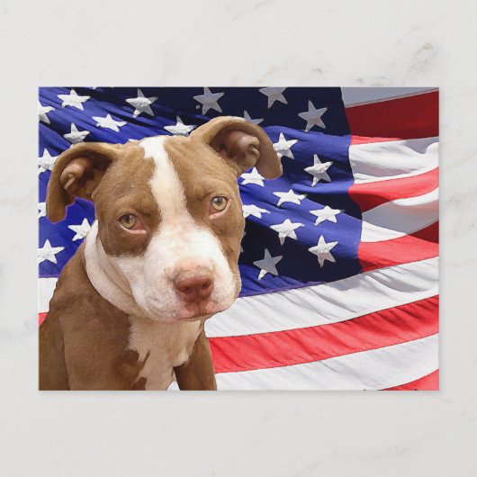 Amerikanischer Pitbuler Welpe Postkarte (Vorderseite)