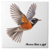 Amerikanischer Robin Fliese (Vorderseite)