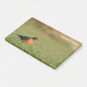 Amerikanischer Robin im Wintergras Post-it Klebezettel (angewinkelt)