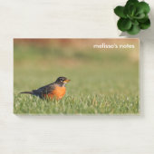 Amerikanischer Robin im Wintergras Post-it Klebezettel (Büro)
