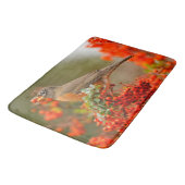 Amerikanischer Robin mit Pyracantha Pomme Badematte (Schrägansicht)