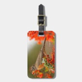 Amerikanischer Robin mit Pyracantha Pomme Gepäckanhänger (Vorderseite vertikal)