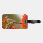 Amerikanischer Robin mit Pyracantha Pomme Gepäckanhänger (Rückseite horizontal)