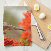 Amerikanischer Robin mit Pyracantha Pomme Handtuch (Viertel Falte)