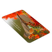 Amerikanischer Robin mit Pyracantha Pomme Magnet (Rechte Seite)