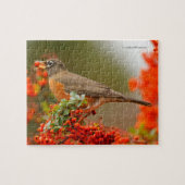 Amerikanischer Robin mit Pyracantha Pomme Puzzle (Horizontal)