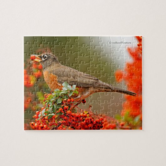Amerikanischer Robin mit Pyracantha Pomme Puzzle (Horizontal)