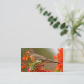 Amerikanischer Robin mit Pyracantha Pomme Visitenkarte (Stehend Vorderseite)