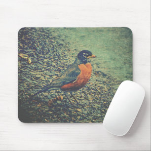 Amerikanischer Rotdrossel Vogel Natur Mousepad