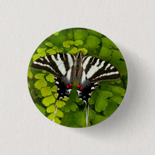 Amerikanischer Schwalbenschwanz Schmetterling Button