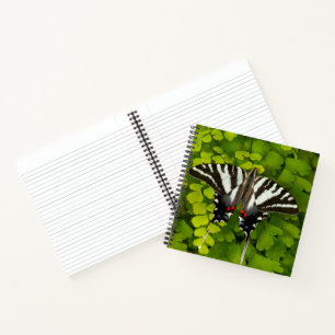 Amerikanischer Schwalbenschwanz Schmetterling Notizblock