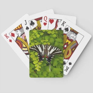Amerikanischer Schwalbenschwanz Schmetterling Spielkarten