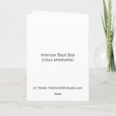 Amerikanischer Schwarzbär Klettern am Baum Karte (Rückseite)