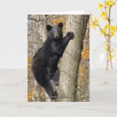Amerikanischer Schwarzbär Klettern am Baum Karte (Gelbe Blume)