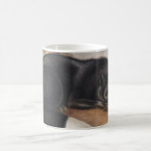 Amerikanischer Schwarzfuchs oder Silberfuchs (Vulp Kaffeetasse (Mittel)