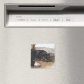 Amerikanischer Schwarzfuchs oder Silberfuchs (Vulp Magnet (In Situ (Geschirrspüler))