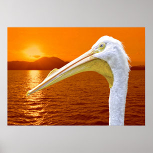 Amerikanischer Sonnenuntergang auf dem Weißen Peli Poster