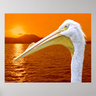 Amerikanischer Sonnenuntergang auf dem Weißen Peli Poster