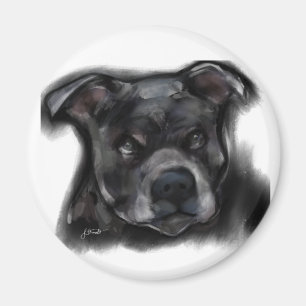 Amerikanischer Staffordshire Terrier Magnet