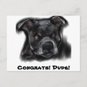 Amerikanischer Staffordshire Terrier Postkarte