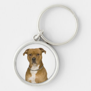 Amerikanischer Staffordshire-Terrier-Welpen-Hund-S Schlüsselanhänger